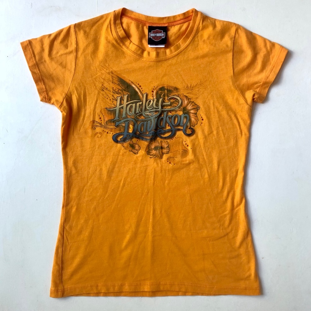 Harley Davidson Orange Lake George NY Graphic T-Shirt